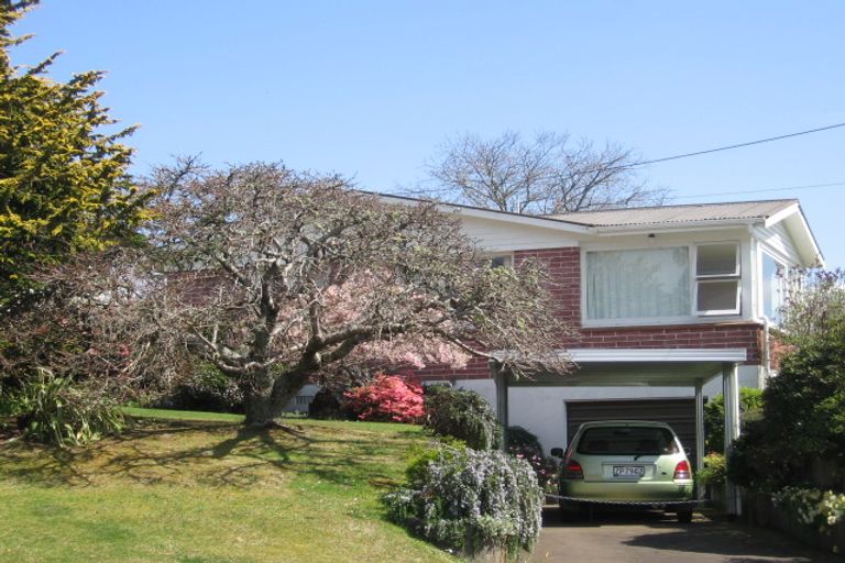 Photo of property in 155 Otonga Road, Springfield, Rotorua, 3015