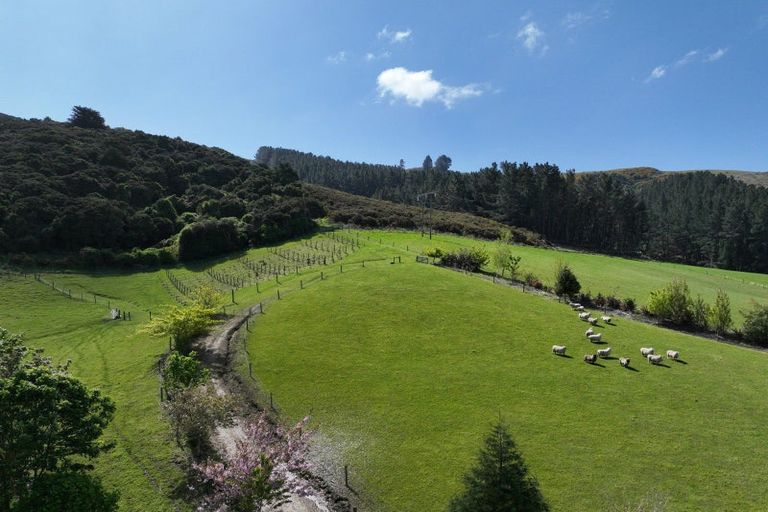 Photo of property in 252 Tirohanga Road, North Taieri, Mosgiel, 9092