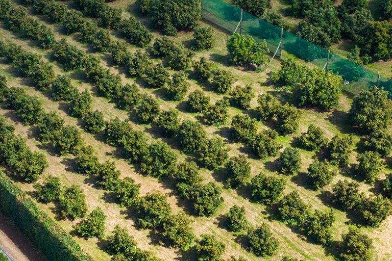 Photo of property in 42 Ferry Road, Waerengaahika, Gisborne, 4071