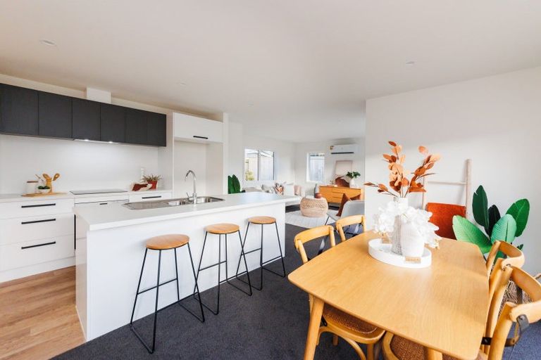 Photo of property in 107a Manawatu Street, Hokowhitu, Palmerston North, 4410