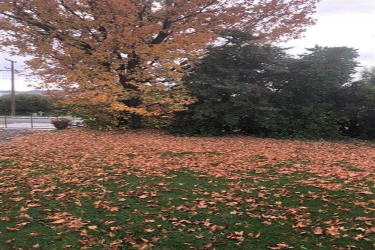 Photo of property in 31 Ferry Road, Spring Creek, 7202