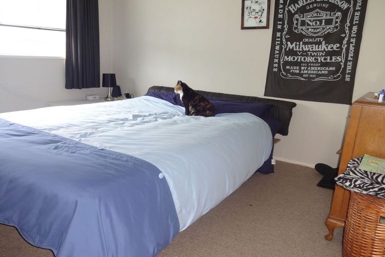 Photo of property in 118 Ohauiti Road, Hairini, Tauranga, 3112