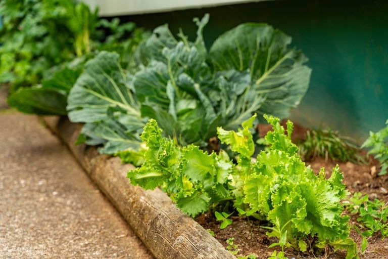 Photo of property in 8 Depot Road, Paparoa, 0571