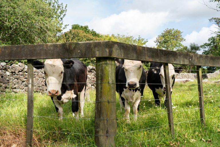 Photo of property in 524 Ngunguru Road, Glenbervie, Whangarei, 0173