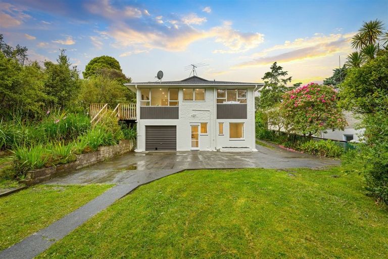 Photo of property in 53 Pine Avenue, Henderson, Auckland, 0612