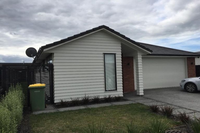 Photo of property in 42 Lulu Avenue, Chartwell, Hamilton, 3210