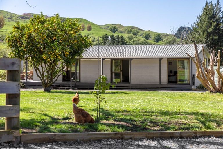 Photo of property in 1689 Waingake Road, Waingake, Manutuke, 4078