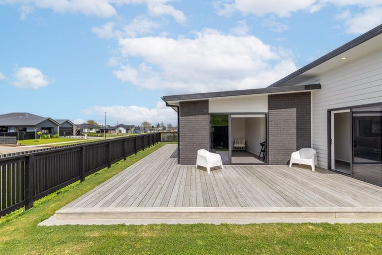 Photo of property in 49 Hoki Avenue, Morrinsville, 3300