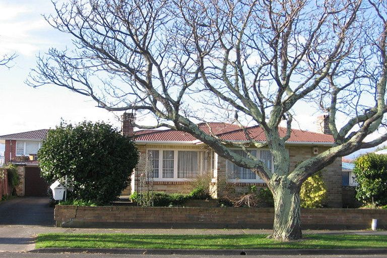 Photo of property in 351 Ruahine Street, Terrace End, Palmerston North, 4410