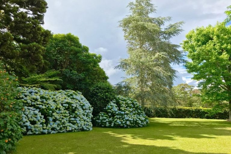 Photo of property in 88 Koropewa Road, Waipapa, Kerikeri, 0295