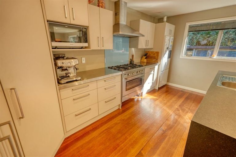 Photo of property in 2 Sanctuary Place, Kumara Junction, Hokitika, 7882