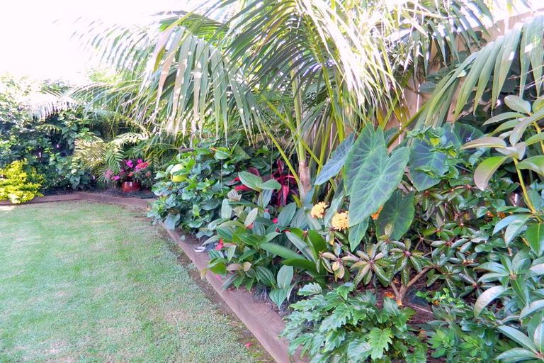 Photo of property in 58 Ranui Avenue, Kerikeri, 0230