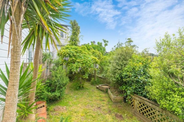 Photo of property in 19 Moffitt Street, Vogeltown, Wellington, 6021