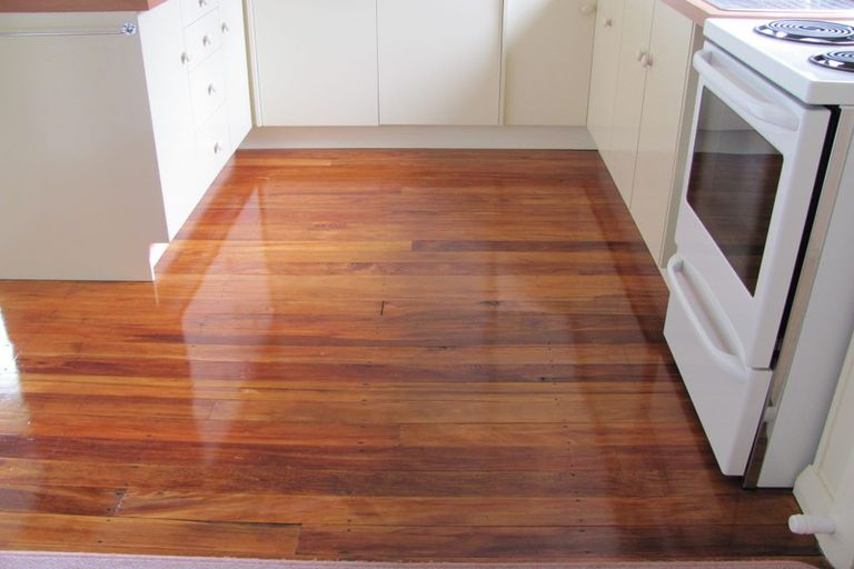 Photo of property in 147 Evans Street, Opoho, Dunedin, 9010