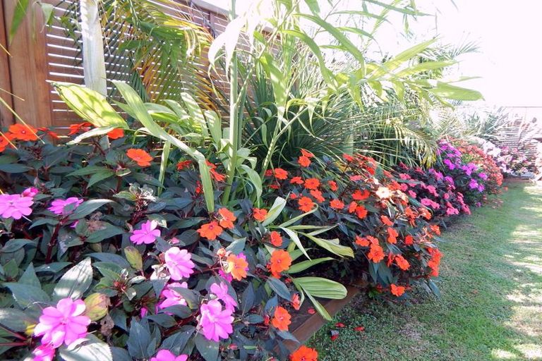 Photo of property in 58 Ranui Avenue, Kerikeri, 0230