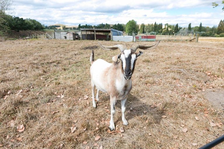 Photo of property in 2/82 Station Road, Takapau, Waipukurau, 4281