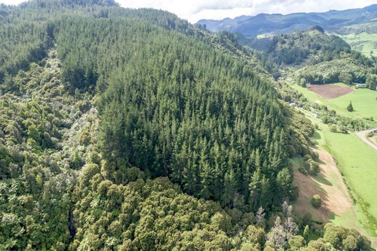 Photo of property in 195 Kapowai Road, Whenuakite, Whitianga, 3591