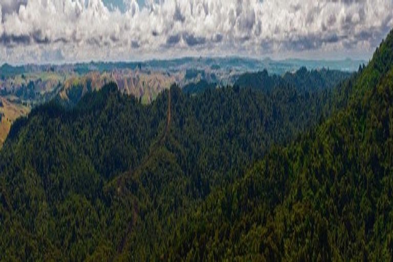 Photo of property in 305 Waingaro Road, Ngaruawahia, 3793