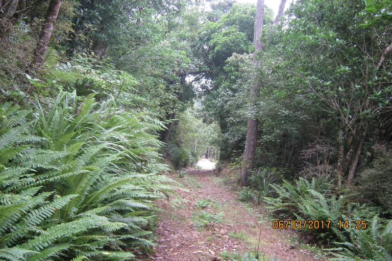 Photo of property in 26 Lookout Drive, Little Valley, Alexandra, 9320