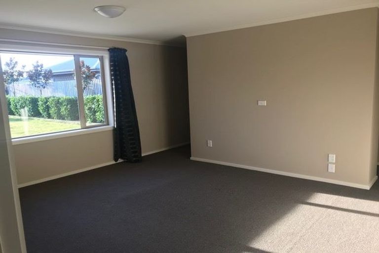 Photo of property in 22 Larne Place, Belfast, Christchurch, 8051