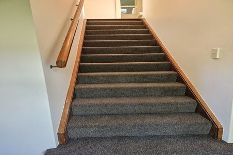 Photo of property in 51 Albemarle Road, Northland, Wellington, 6012