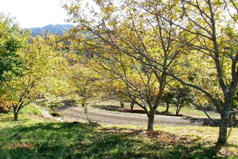 Photo of property in 143 Braemar Road, Manawahe, Whakatane, 3193