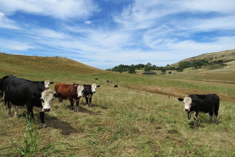 Photo of property in 1795 Dartmoor Road, Dartmoor, Napier, 4186