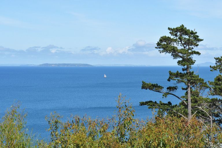 Photo of property in 11 Elizabeth Point Road, Kawau Island, 0920