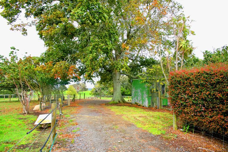 Photo of property in 113 Lewis Road, Karaka, Papakura, 2580