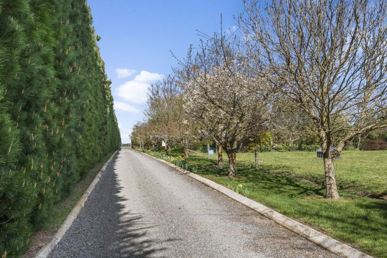 Photo of property in 1285 Woodfields Road, Cust, Rangiora, 7475