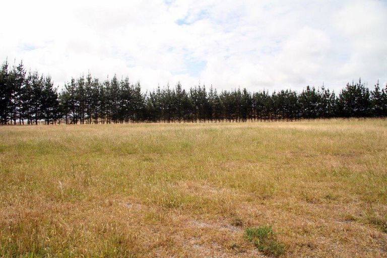 Photo of property in 41 Mcmanus Road, Houhora, Kaitaia, 0484