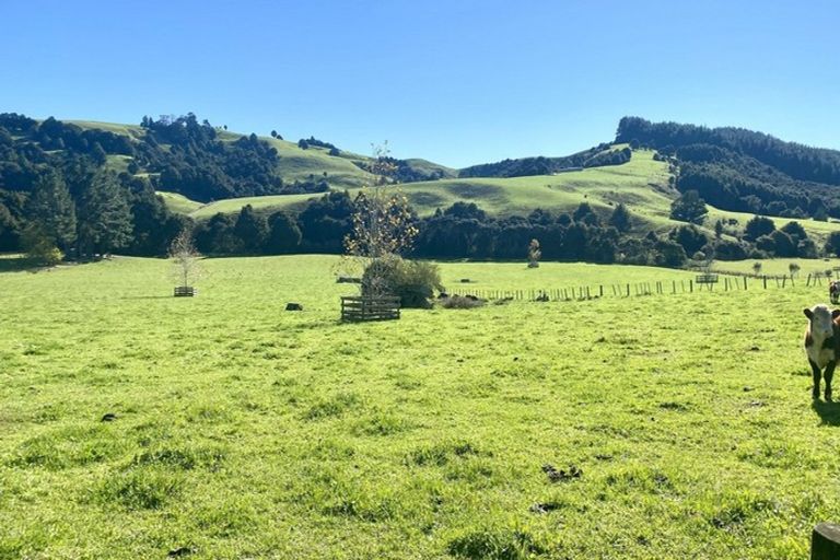 Photo of property in 11 Millett Road, Whangaripo, Wellsford, 0972