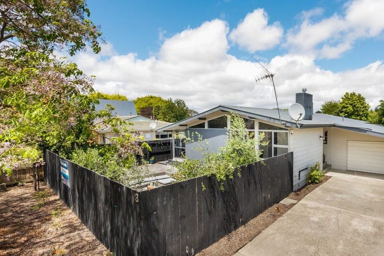 Photo of property in 3 Spilman Place, Awapuni, Palmerston North, 4412