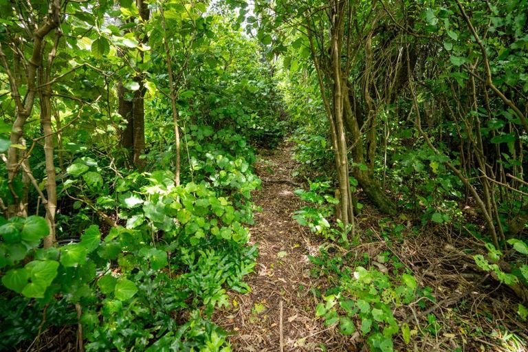 Photo of property in 127 Heke Street, Ngaio, Wellington, 6035