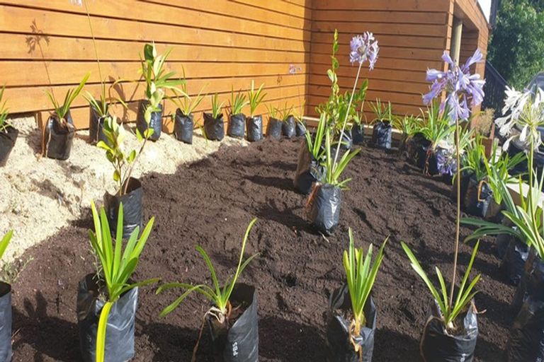 Photo of property in 52a Jackson Terrace, Ranui, Porirua, 5024