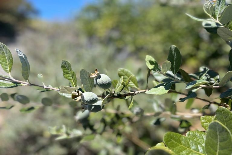 Photo of property in 94 Hibiscus Coast Highway, Red Beach, 0932