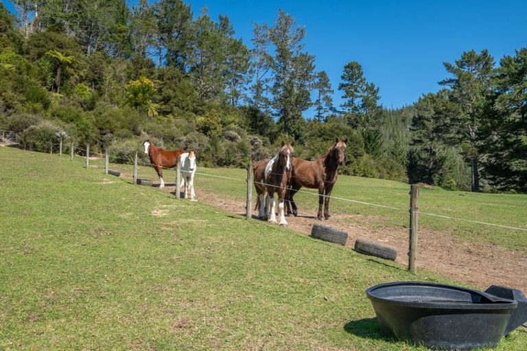 Photo of property in 896a Hikuai Settlement Road, Pauanui, Hikuai, 3579