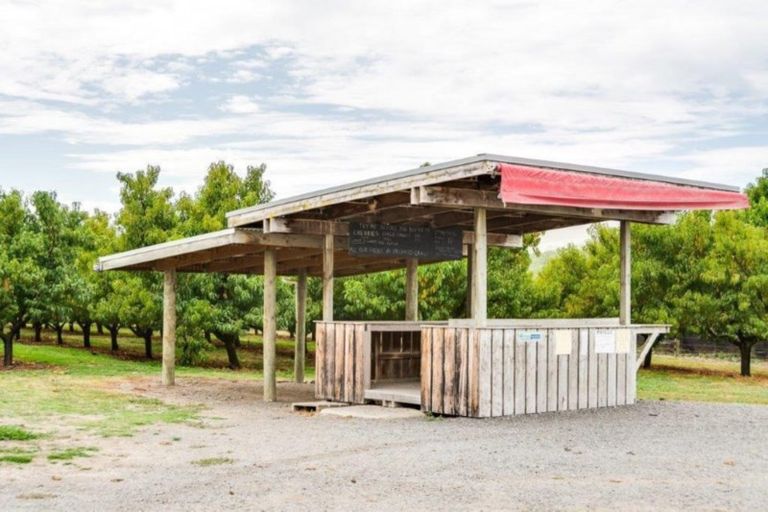 Photo of property in 200 Longlands Road, Longlands, Hastings, 4172