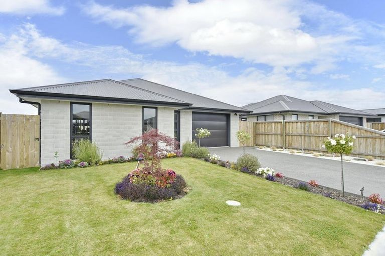 Photo of property in 5 Clare Street, Woodend, 7610