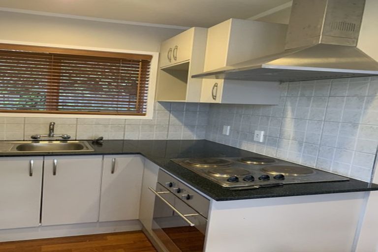 Photo of property in 1/17 Matuhi Rise, Henderson, Auckland, 0612