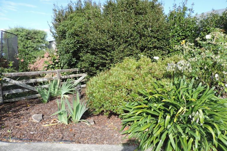 Photo of property in 6 Sharp Place, Matamata, 3400