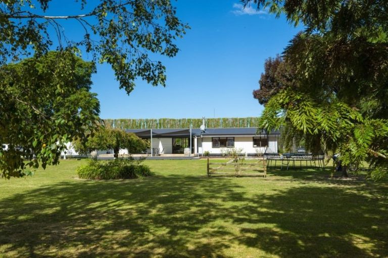 Photo of property in 156 Wharekopae Road, Patutahi, Gisborne, 4072