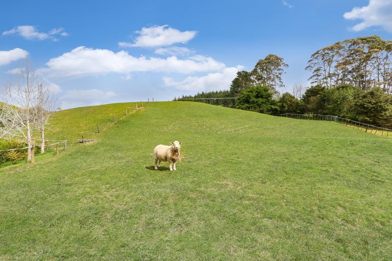 Photo of property in 10 Te Awa Kite Road, Onewhero, Tuakau, 2697