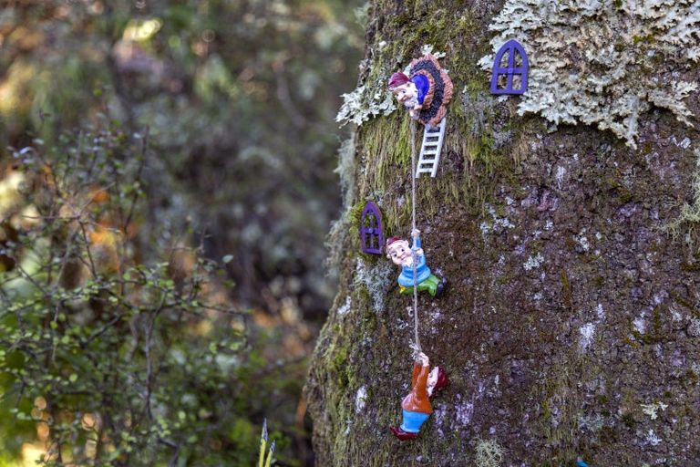 Photo of property in 7 Mead Lane, Horopito, Raetihi, 4696