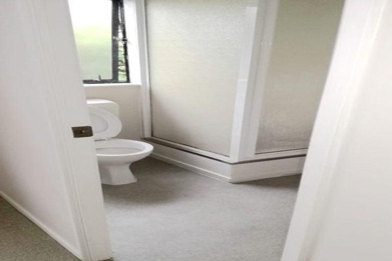 Photo of property in 33 Olena Avenue, Sunnyhills, Auckland, 2010