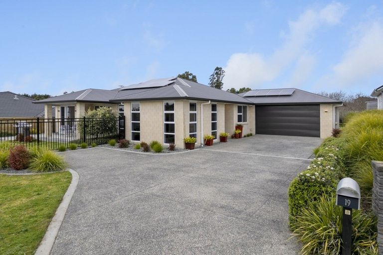Photo of property in 19 Louise Drive, Ohauiti, Tauranga, 3112
