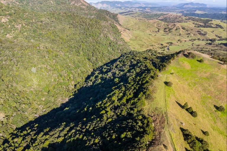 Photo of property in 1169 Tangihua Road, Maungakaramea, 0178