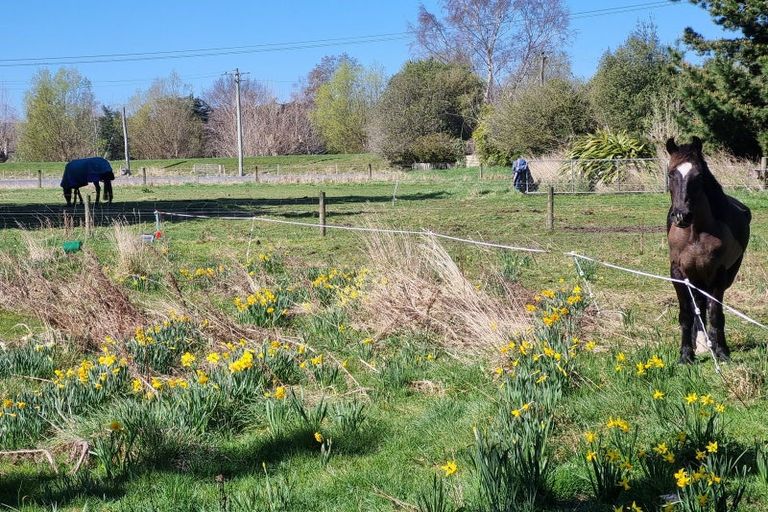 Photo of property in 74 Riverbank Road, Inch Clutha, Kaitangata, 9281