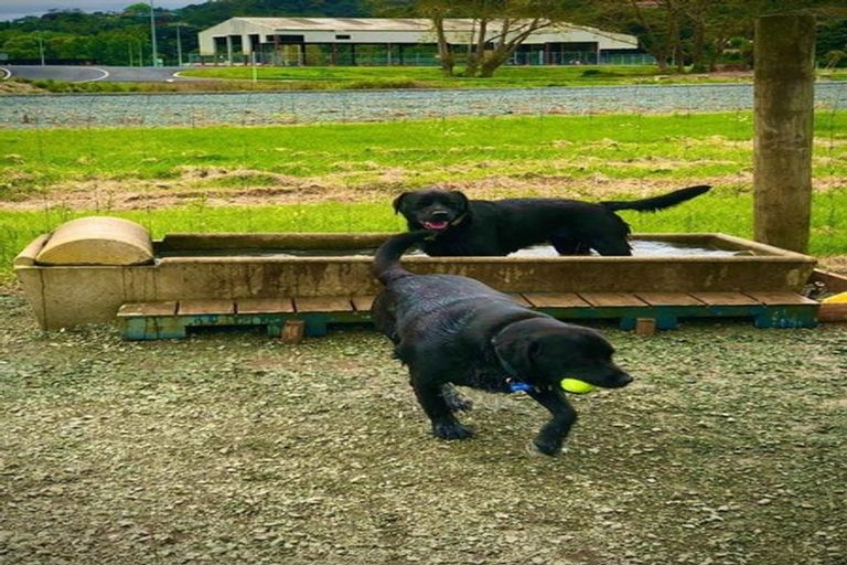 Photo of property in 49b Old Onerahi Road, Onerahi, Whangarei, 0110