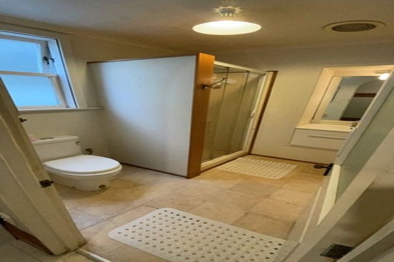 Photo of property in 103 Tasman Street, Mount Cook, Wellington, 6021